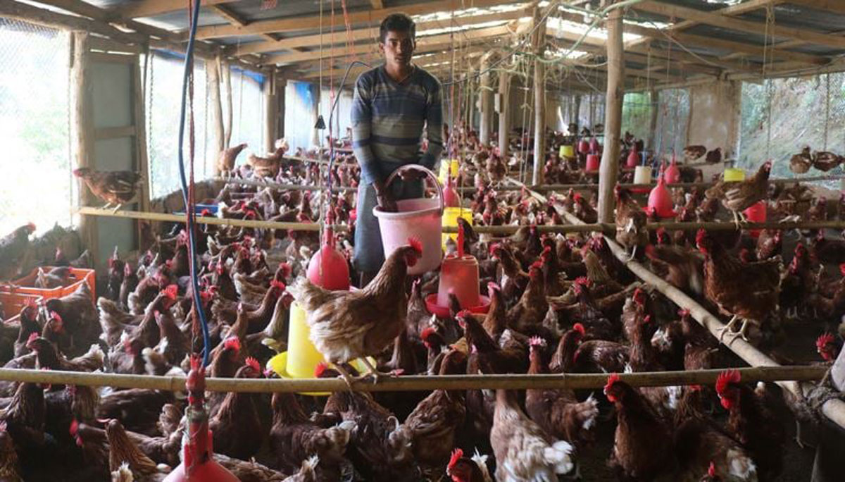 अवैध ओसारपसारको प्रभावकारी नियन्त्रण गरिने