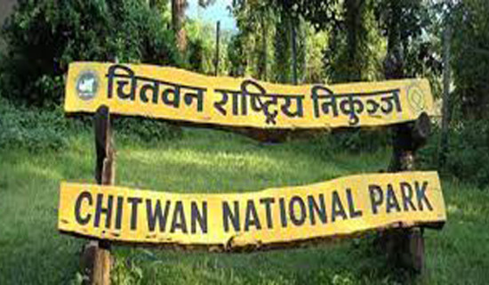 बाधलाई अझै नियन्त्रणमा लिन सकिएन