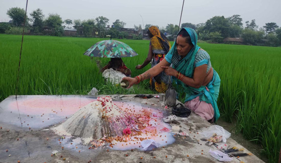 कपिलवस्तुमा नाग पञ्चमी मनाइयो