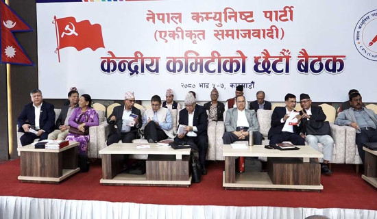 समाजवादीको छायाले सर्वदलीय बैठकमा एमाले आएन : माधव नेपाल
