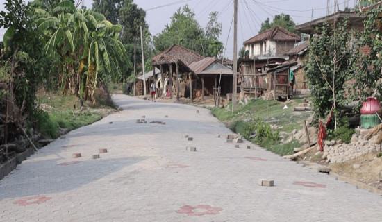 ऐतिहासिक थारू गाउँ संरक्षण गर्न उज्यालो अभियान