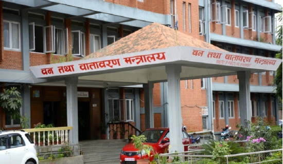 आगामी जलवायु सम्मेलनका प्राथमिकता : जलवायु वित्त, अनुकूलन र हानि नोक्सानी