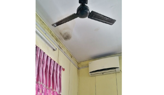 भवनको अभावमा न्याय सम्पादन प्रभावित