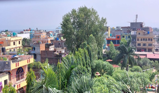 स्मार्टसिटि अन्तर्गत १० किलोमिटर सडक स्तरोन्नति