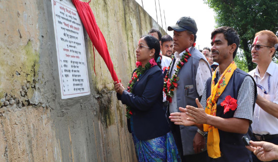 भार्लाङमा सिँचाइ सुविधापछि बाह्रैमास तरकारी खेती