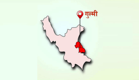 गुल्मीमा बालिका मृत्यु प्रकरण:  छानबिन गर्न समिति गठन