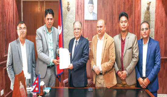 शरणार्थी समस्या समाधान गर्न आग्रह