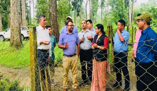 निकुञ्जमा सडक निर्माण गर्न ‘डिपिआर’ र ‘इआइए’