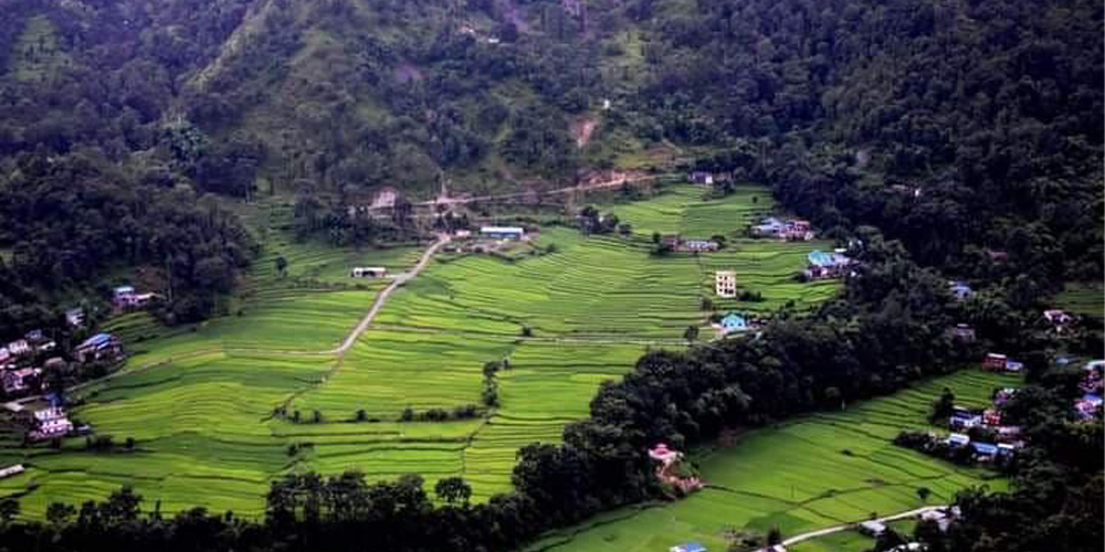 म्याग्दीबाट रैथाने बाली लोप हुँदै