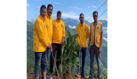 वृक्षरोपणमा होडबाजी संरक्षणमा छैन चासो