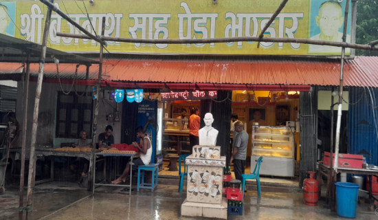बरमझियाको पेडा : नाम होस् तर बदनाम नहोस्