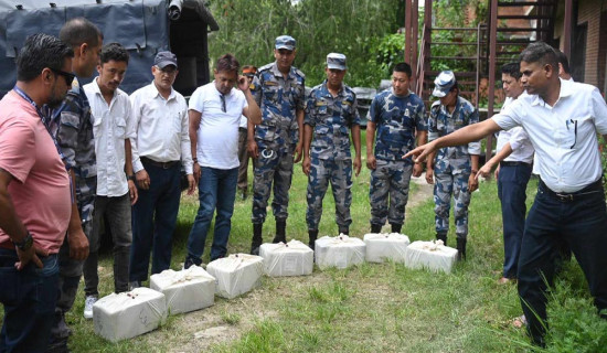 सुन तस्करी प्रकरण : सीमाक्षेत्रबाट एक पक्राउ, काठमाडौँ ल्याइँदै