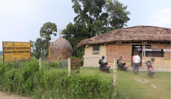 जीविकोपार्जनको विकल्प खोज्दै बोटे समुदाय