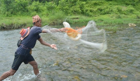 जीविकोपार्जनको विकल्प खोज्दै बोटे समुदाय