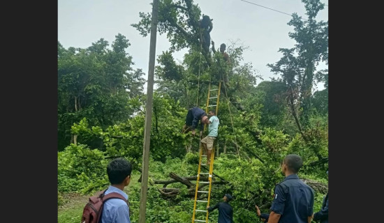घाँस काट्नेक्रममा करेन्ट लागेर एकको मृत्यु