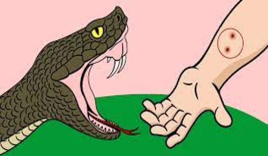 सर्पले डसेर दुई महिनामा छ जनाको मृत्यु