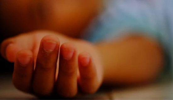 सर्पले डसेको थाहा नपाउँदा युवकको मृत्यु