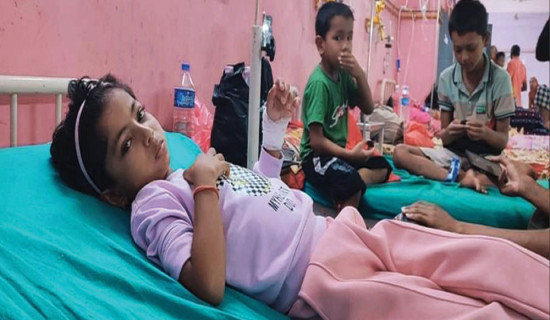 बालबालिकामा स्क्रबटाइफस र डेङ्गु