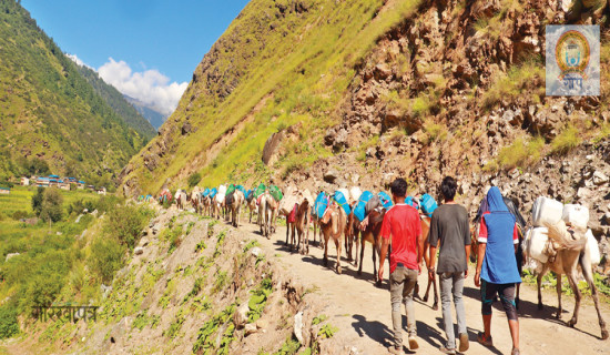 हुम्लामा अझै खच्चडबाटै नै ढुवानी