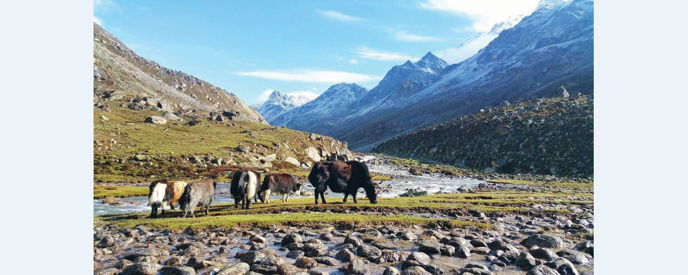 समावेशीकरणको दिशामा एउटा फड्को : गोरखापत्रद्वारा प्रकाशित मुगाल भाषा