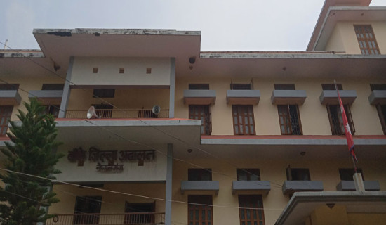 अदालतमा मुद्दाको चाप