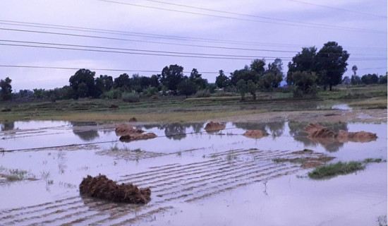 रौतहटका किसानले पाएनन् राहत रकम