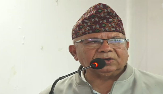 संविधान कार्यान्वयनमा समस्या छ : अध्यक्ष नेपाल