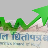 नेप्सेमा दोहोरो अङ्कको वृद्धि