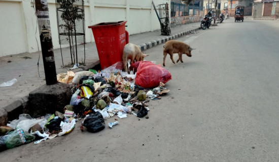 जनकपुरधामको फोहोर व्यवस्थापनमा समस्या