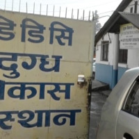 सिमसार क्षेत्रमा घरघडेरी