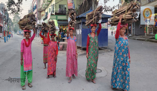 दाउरा बिक्री गर्न लिएर जाँदै महिलाहरु