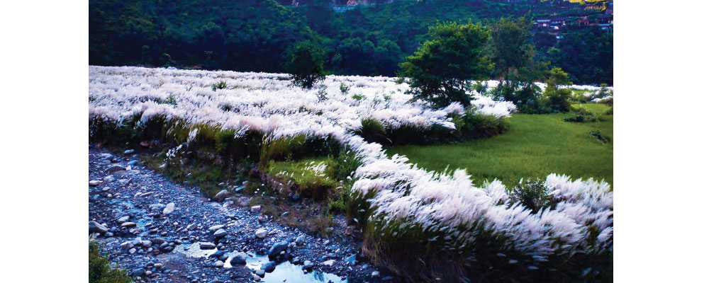 blog