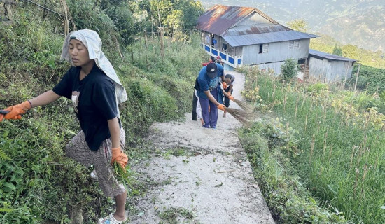 टोल आफैँ सरसफाइ गर्ने अभियान प्रभावकारी