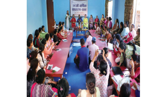 एकल महिलाका सवाललाई प्राथमिकतामा नराखेको गुनासो