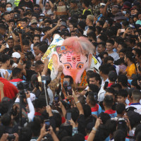 ऐरावत अर्थात् ‘पुलुकिसी’