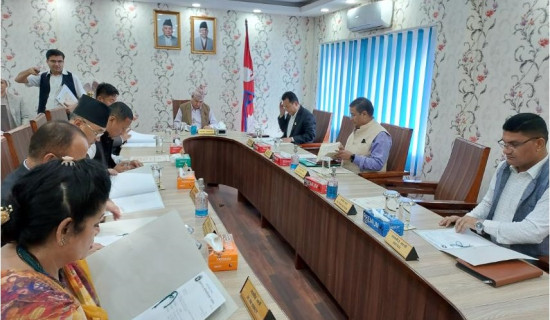 हस्तकला ग्राम स्थापनासम्बन्धी विधेयक प्रदेश सभा पेस गरिने