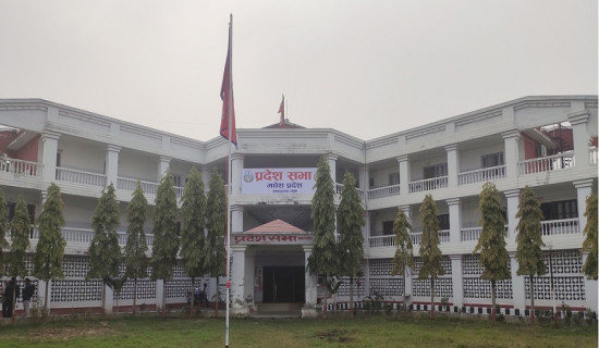 विषयगत समितिमा सभापति नहुँदा दफावार छलफल प्रभावित
