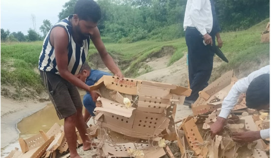 भारतबाट अवैध भित्रिएका १० हजार चल्ला नष्ट