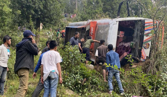 सल्यानमा बस दुर्घटना, दुईको मृत्यु १४ घाइते