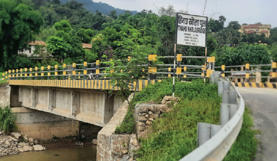 मदन भण्डारी राजमार्गमा एक सय आठ पुल निर्माण