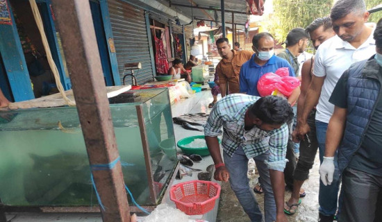 माछामासु पसलमा अनुगमन