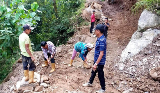 ताप्लेजुङमा मौलाउँदै छ जनश्रमदान संस्कार