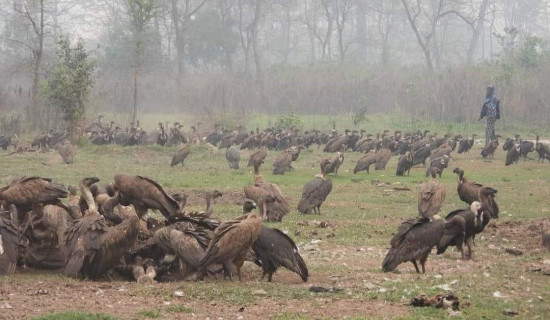 जटायु रेष्टुरेन्ट गिद्ध अध्ययन केन्द्रको रुपमा विकास हुँदै