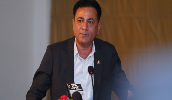 ‘पत्रकारको भौतिक र आर्थिक सुरक्षामा गम्भीर बनौं’