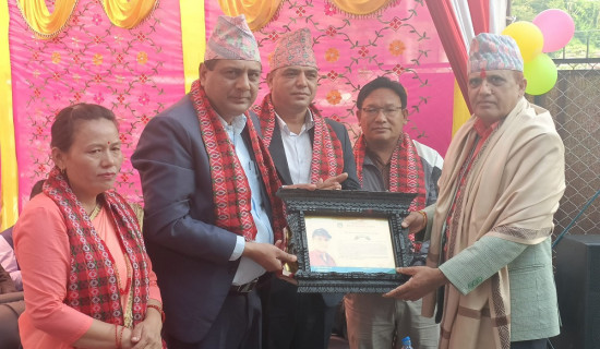 ‘सिन्धु पत्रकारिता सेतो बाघ’ बाट पौडेल सम्मानित