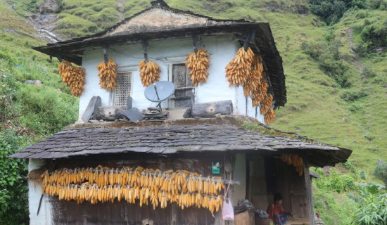 परम्परागत शैलीमा मकै भण्डारण