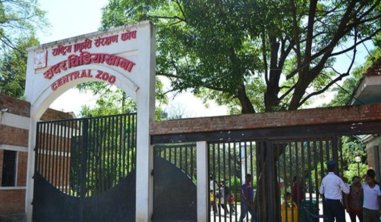 चिडियाखानामा सटल बसको व्यवस्था गर्दै ललितपुर महानगर