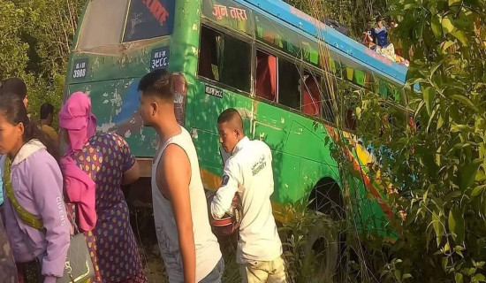 मकवानपुरमा बस दुर्घटना : १५ जना घाइते, पाँचको अवस्था गम्भीर