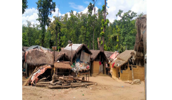 बाढीपीडित बस्तीमा छैन दसैँ रौनक