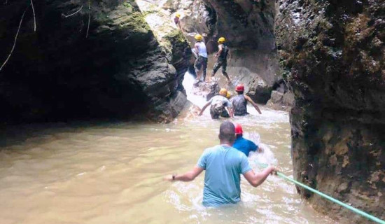 पाल्पामा जिप दुर्घटना : ६ जनाको मृत्यु